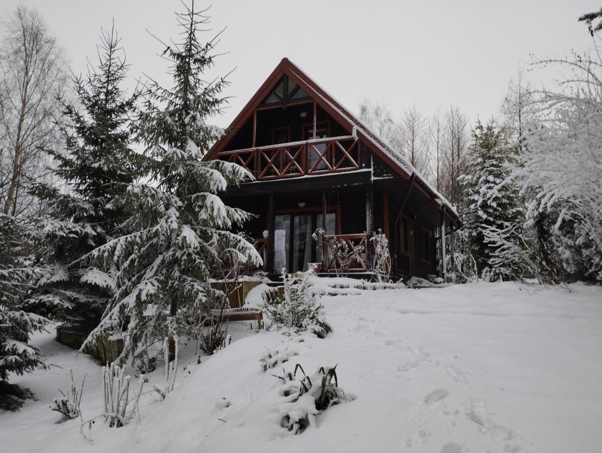 Garden House Nad Jeziorem Szelment Przejma Wielka Luaran gambar