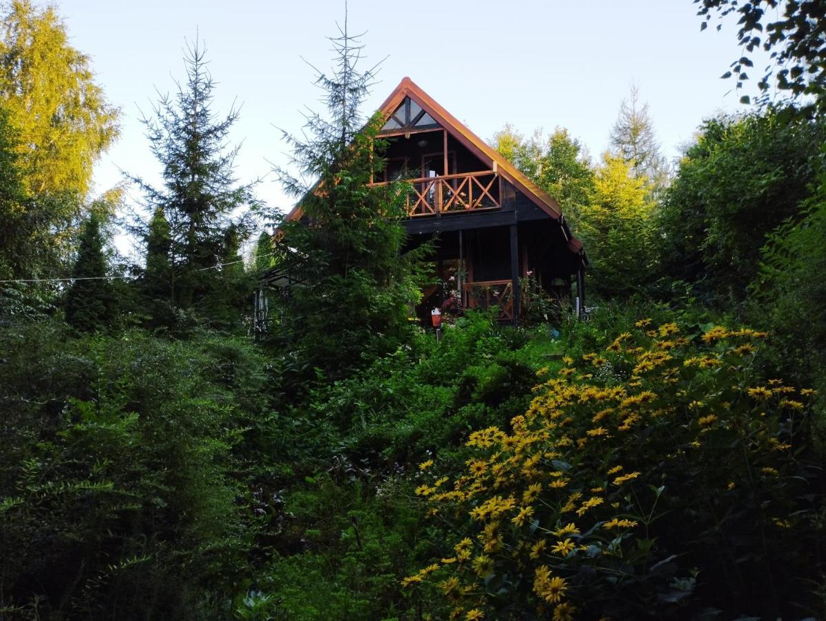 Garden House Nad Jeziorem Szelment Przejma Wielka Luaran gambar